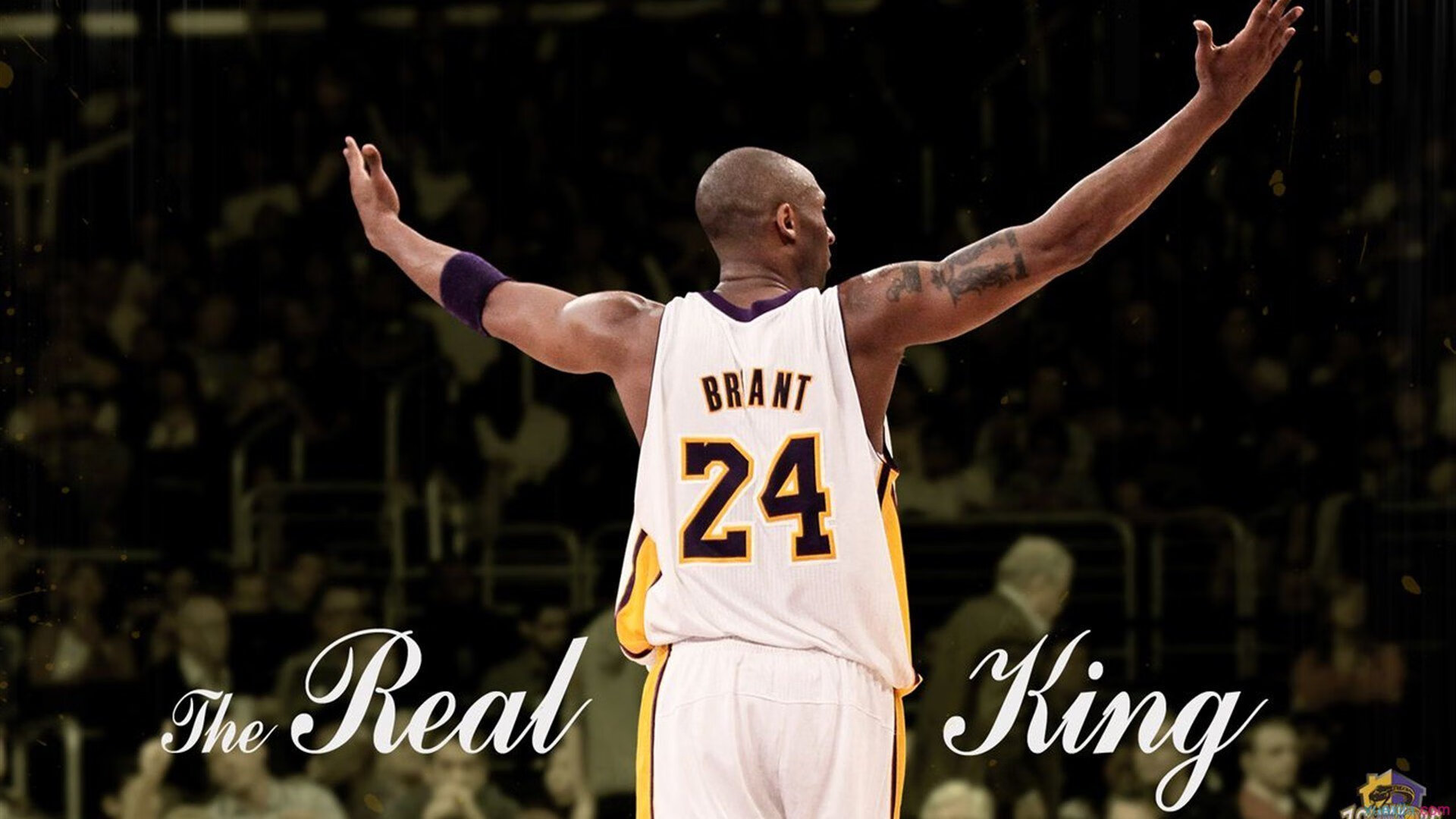 NBA球队替补席贡献度研究，nba替补席庆祝集锦